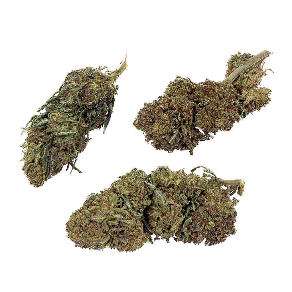 Jack Herer THCA topskud – 28 % styrke