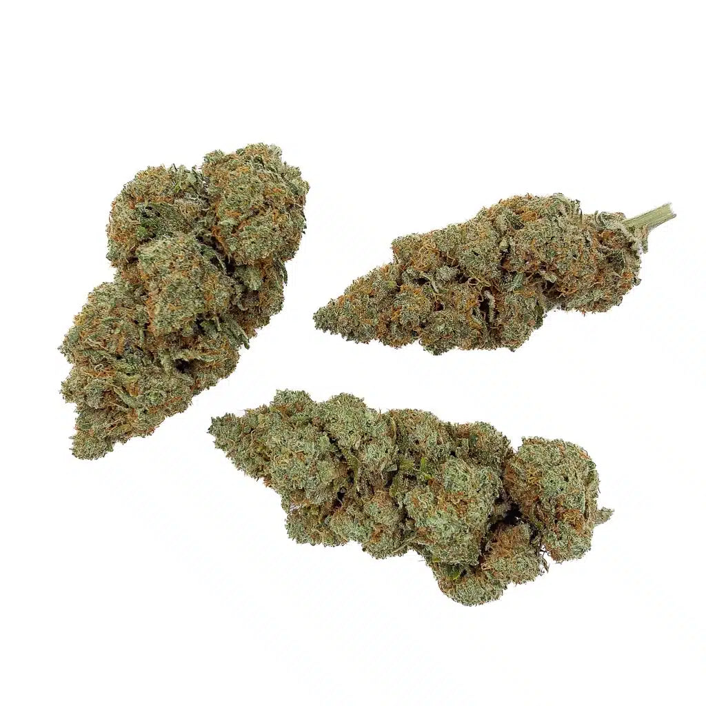 White Widow THCA topskud – 27 % skunkprofil
