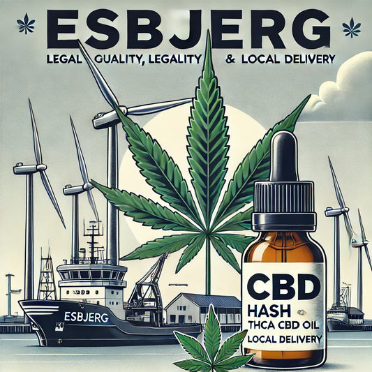Billede af Esbjergs havnefront med cannabisprodukter – Køb lovligt THCA hash og CBD olie hos CopenhagenWeed.dk med hurtig levering i Esbjerg.