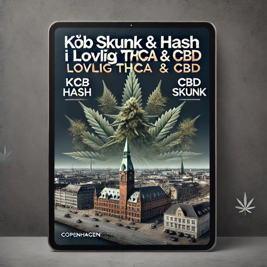 Køb hash og THCA hash lovligt i Hørsholm hos CopenhagenWeed.dk. Hurtig og diskret levering.
