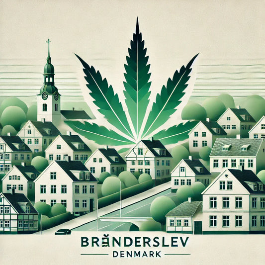 Køb hash og THCA hash lovligt i Brønderslev hos CopenhagenWeed.dk. Hurtig og diskret levering.