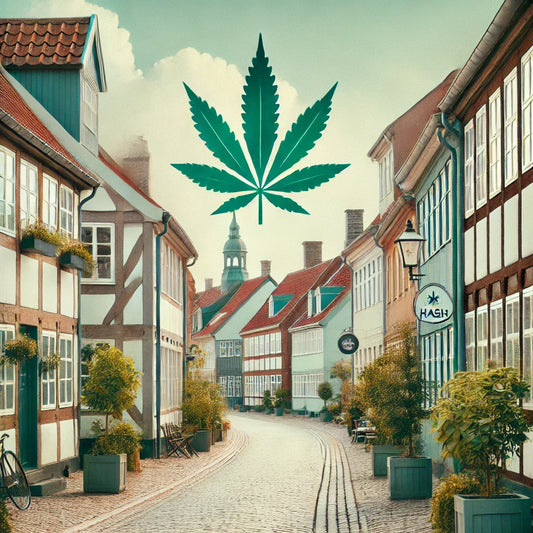 Køb hash og THCA hash lovligt i Christiansfeld hos CopenhagenWeed.dk. Hurtig og diskret levering.