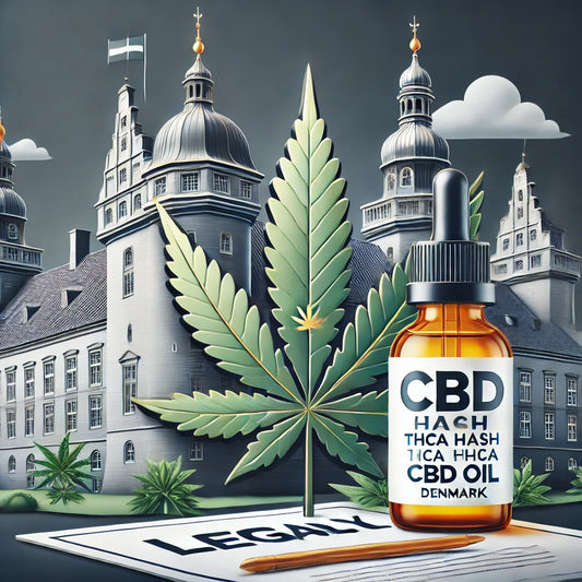 Køb hash og THCA hash lovligt i Vordingborg hos CopenhagenWeed.dk. Hurtig og diskret levering.