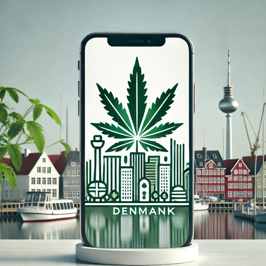 Køb lovlig THCA hash, CBD og skunk online i Danmark. Oplev bæredygtighed, kvalitet og diskret levering hos CopenhagenWeed.dk.