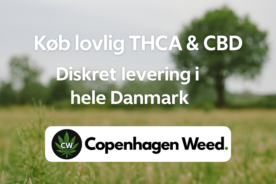 Lovlig THCA hash og CBD skunk i Hørsholm – diskret levering fra Danmarks bedste og billigste weedshop