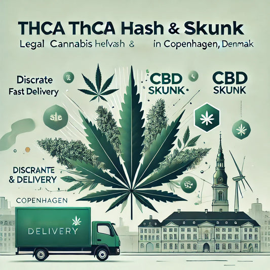 Køb hash og THCA hash lovligt i København hos CopenhagenWeed.dk. Hurtig og diskret levering.
