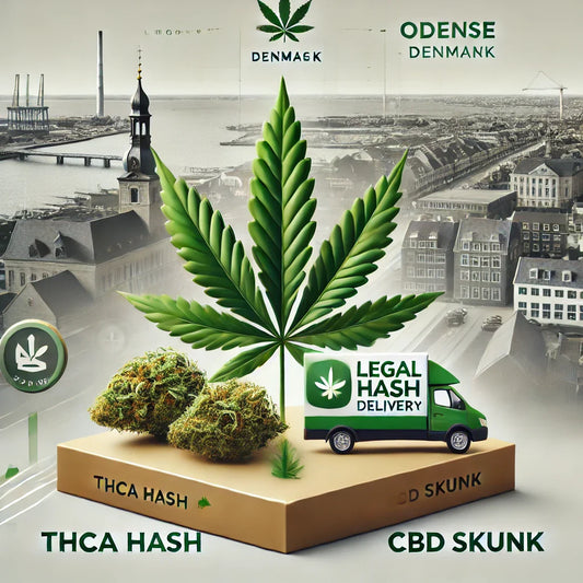 Køb hash og THCA hash lovligt i Odense hos CopenhagenWeed.dk. Hurtig og diskret levering.