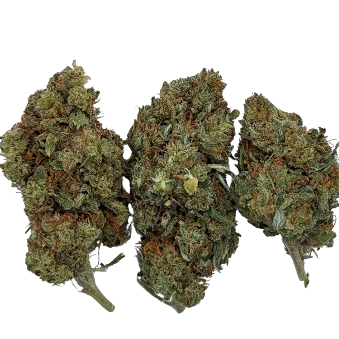 Copenhagen Bubble – 14% CBD | Drivhusdyrket CBD Blomst i Super Kvalitet