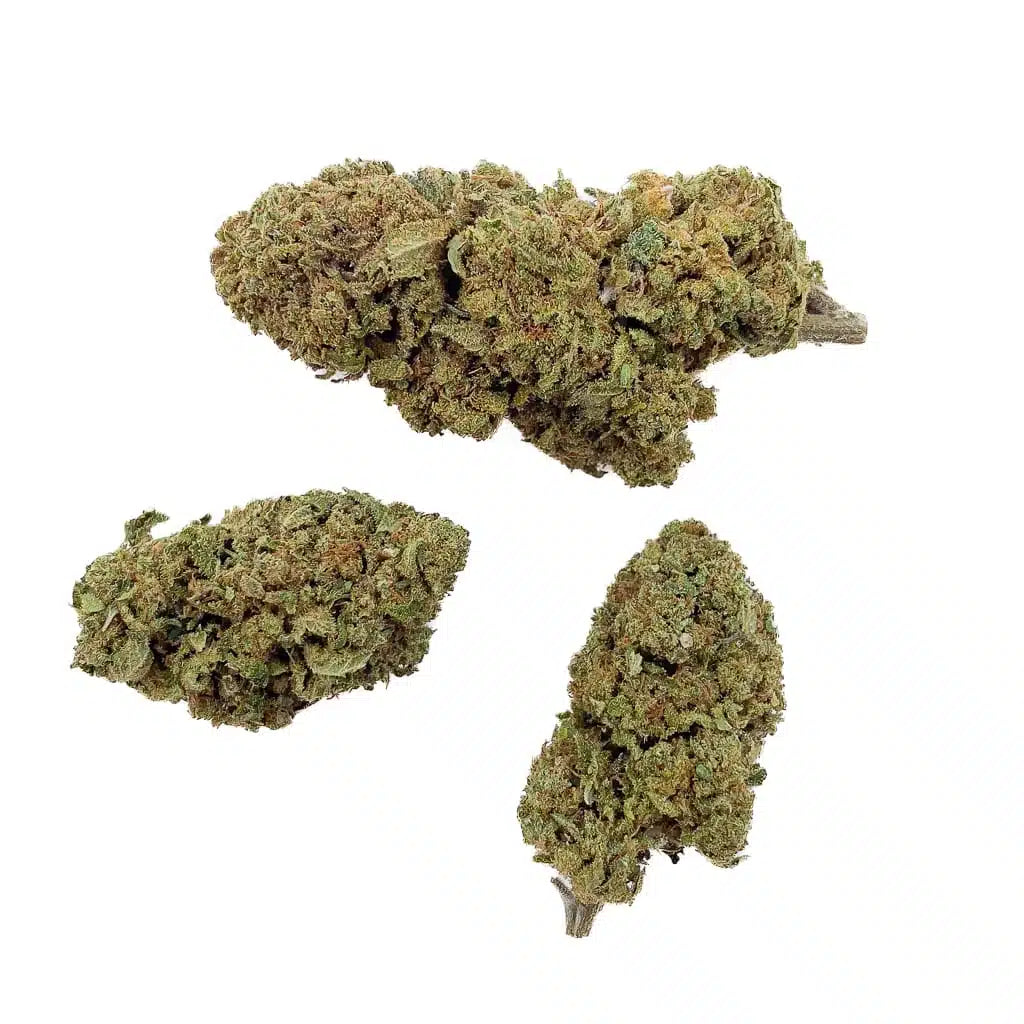 🍨 Gelato – 25% THCA | Naturlige topskud uden isolat | Creme