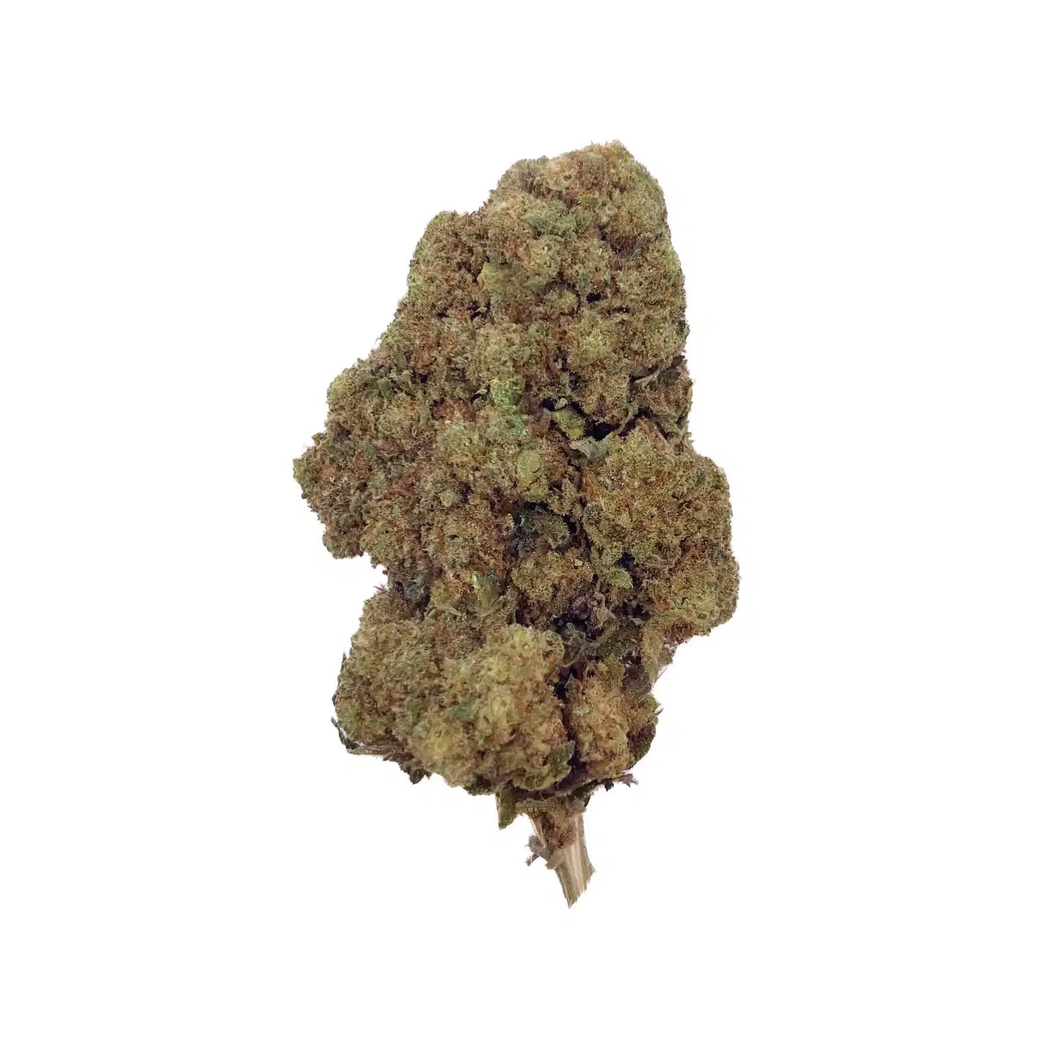 AK47 THCA topskud – 28 % kraftfuld aroma