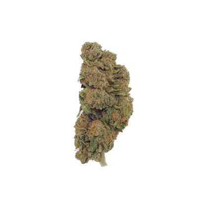 Blueberry Dream THCA topskud – 26 % frugtig aroma