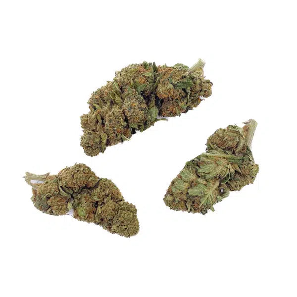 Blueberry Dream THCA topskud – 26 % frugtig aroma