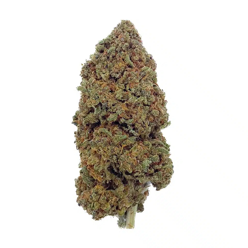 Cheese THCA topskud – 27 % intens duft