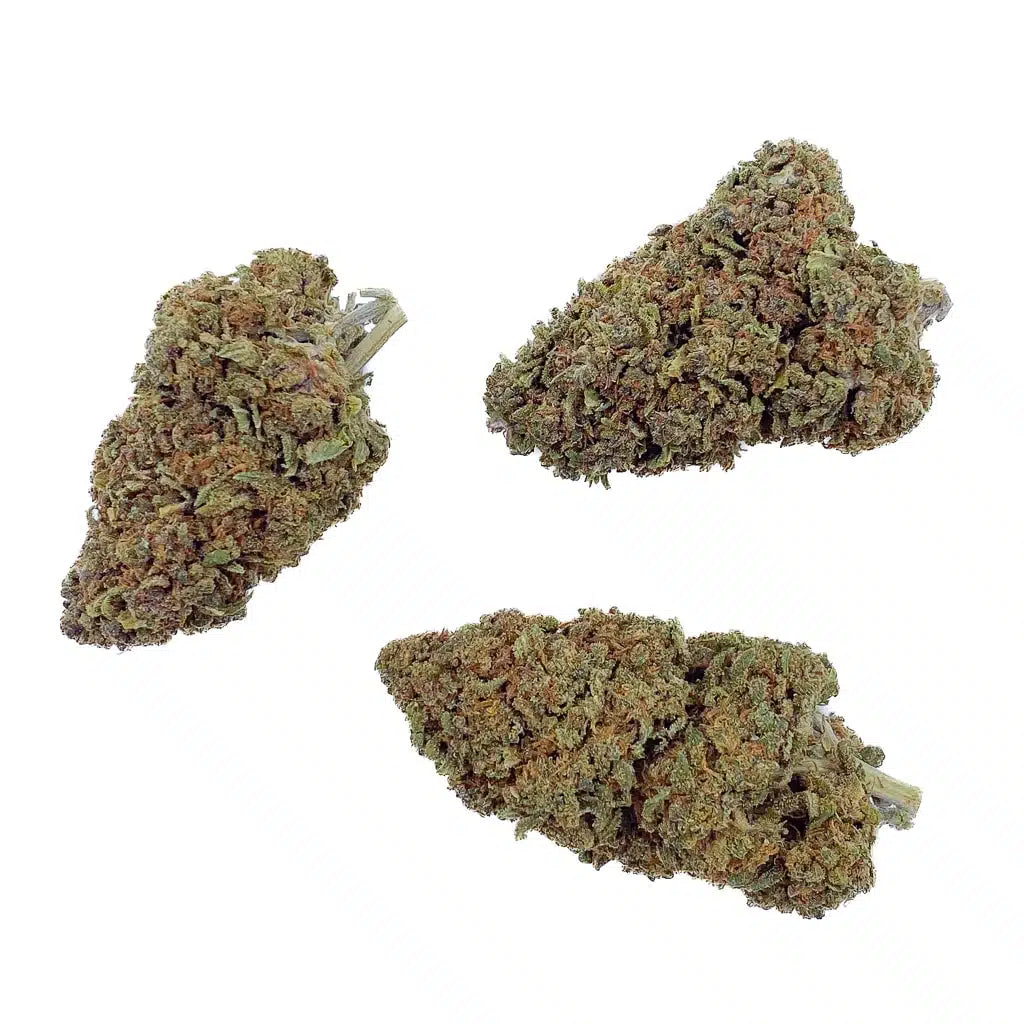 Cheese THCA topskud – 27 % intens duft