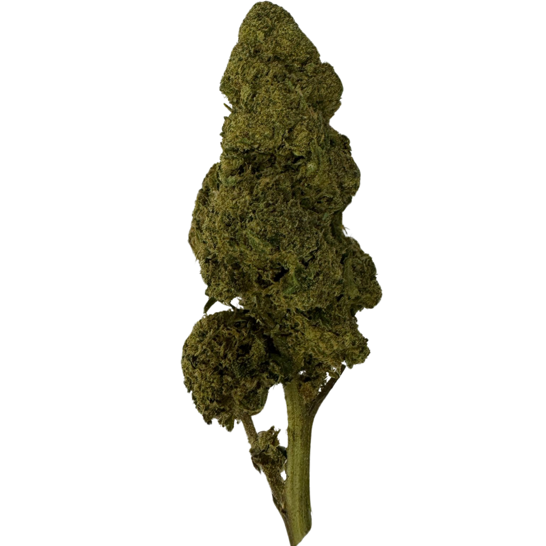 Copenhagen Candy 12% CBD hash – Køb premium CBD hash i Danmark