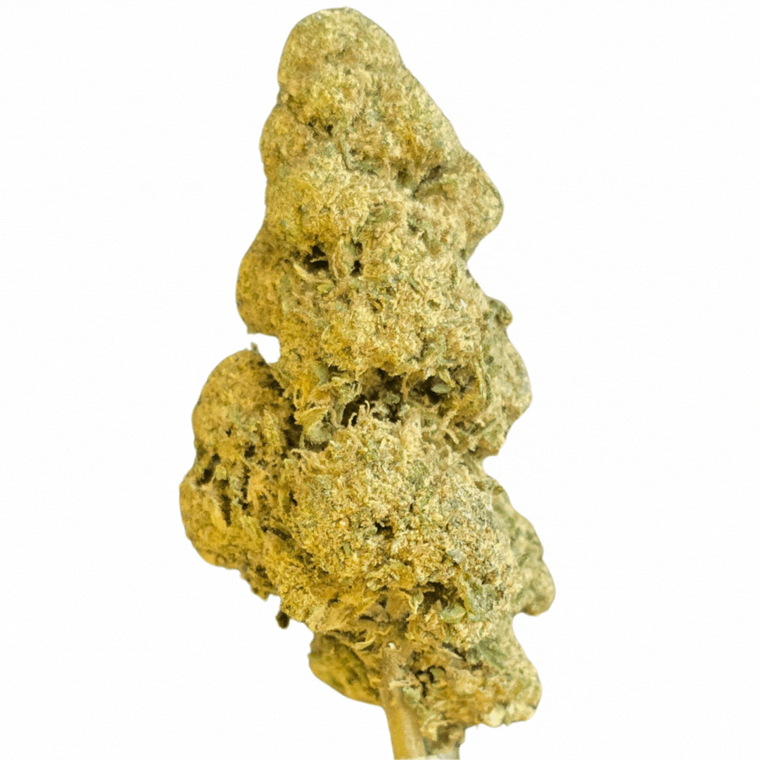 Animeret visning af Copenhagen Skunk THCA buds – 27% THCA. Lovlig, potent skunkblomst i Danmark med naturlig aroma og tæt struktur.
