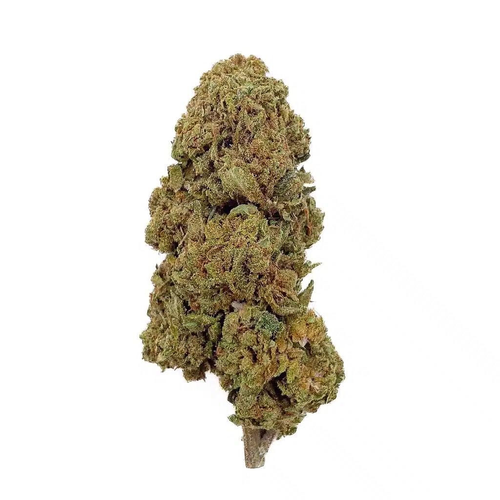 Gelato THCA topskud – 30 % premium aroma