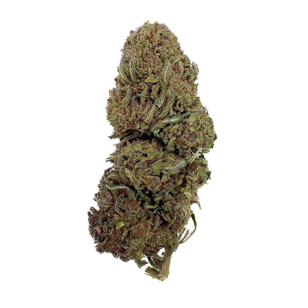 Jack Herer THCA topskud – 28 % styrke