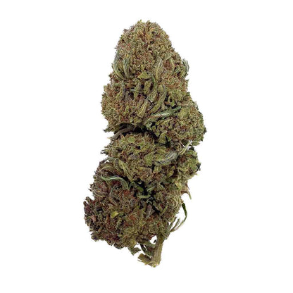 Jack Herer THCA topskud – 28 % styrke